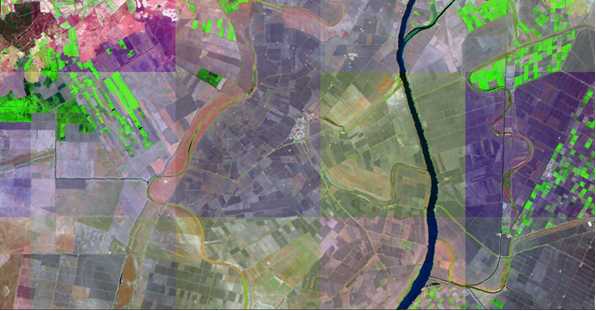 Mosaico Imagen Landsat Thematic Mapper de julio de 1995
