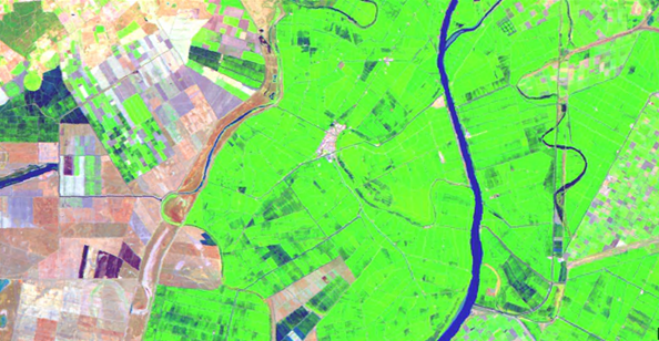 Mosaico Imagen Landsat Thematic Mapper de julio de 2004