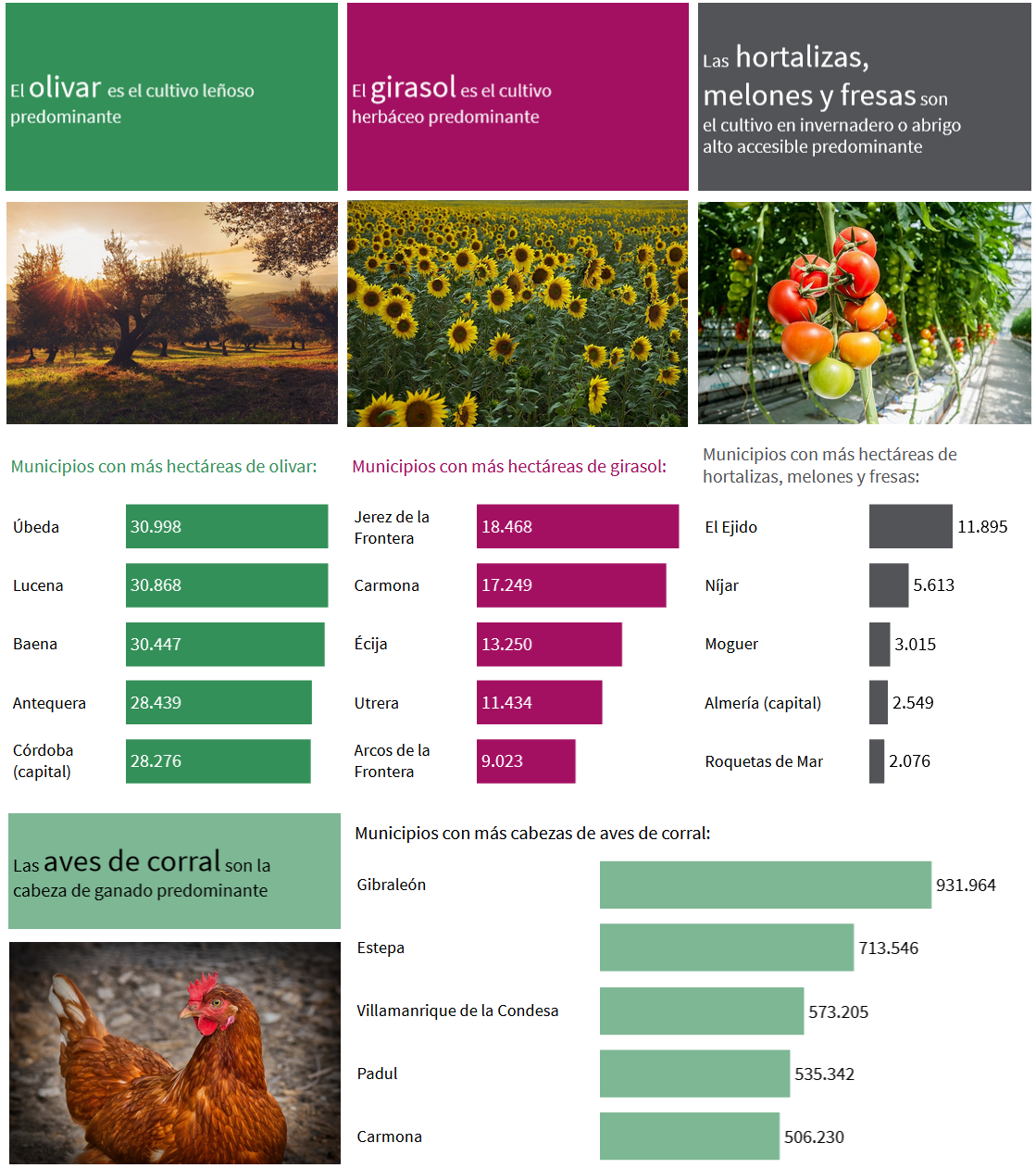 Visualización gráfica de los principales resultados del Censo Agrario 2020