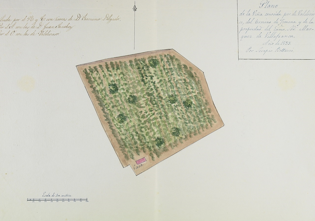 Plano de la viña conocida por de Valdivieso. Año 1855