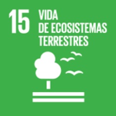 Objective 15. Life of terrestrial ecosystems