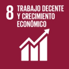 Objective 8. Decent work and economic growth